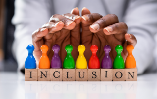 inclusion