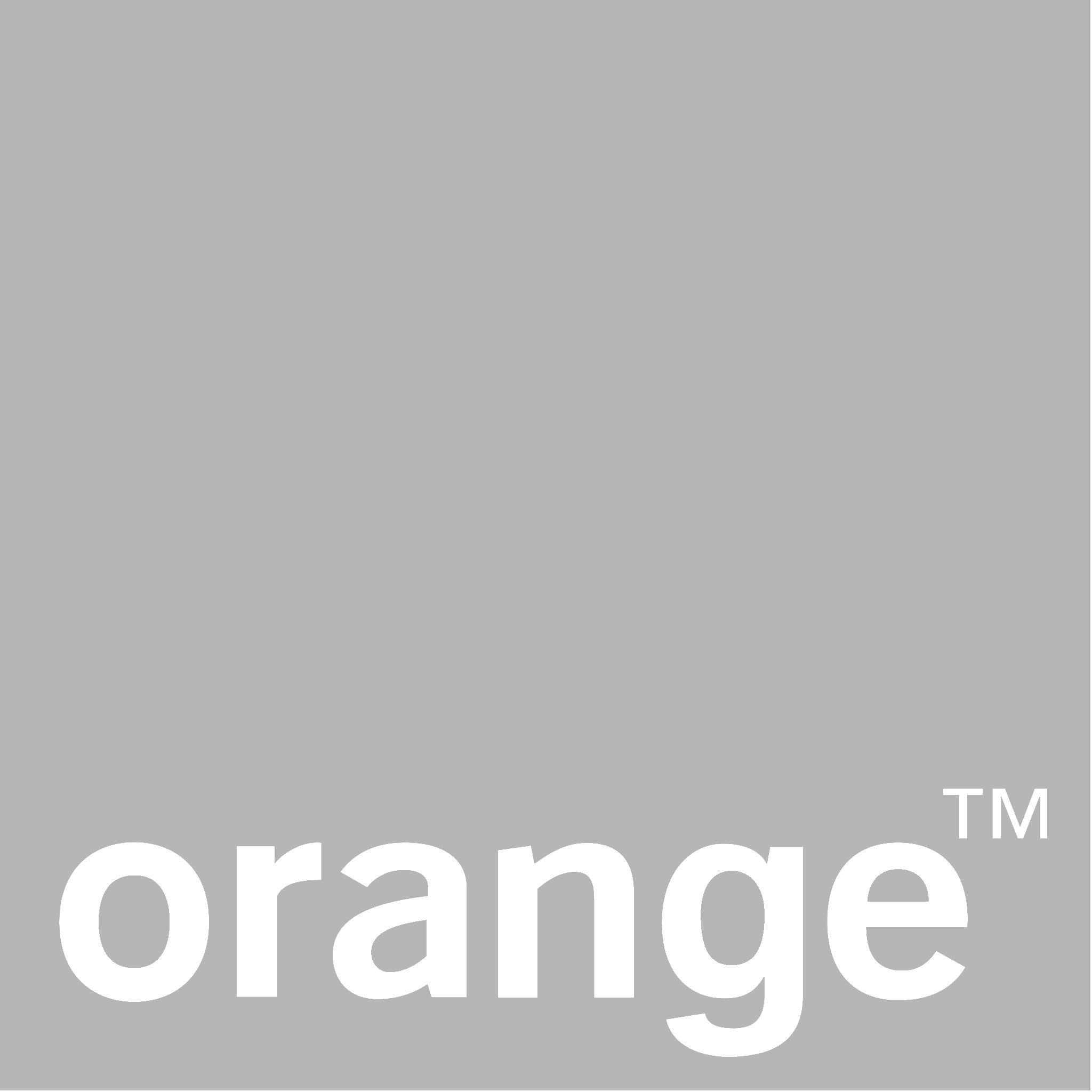 Customer Logo