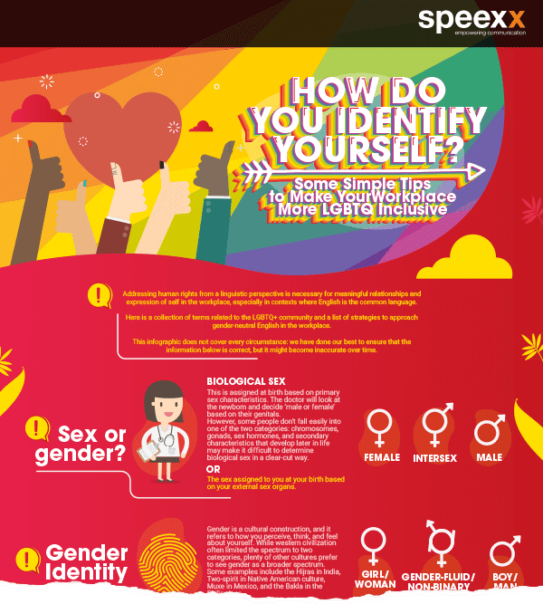 image infographie LGBT+