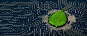 Speexx_Blog_Certificación
