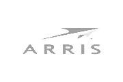 Language training and business coaching for the telecommunications industry Arris