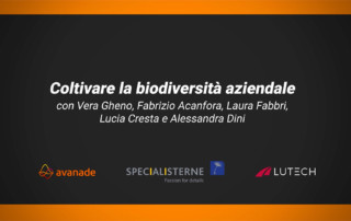 speexx blog 4w4i 2022