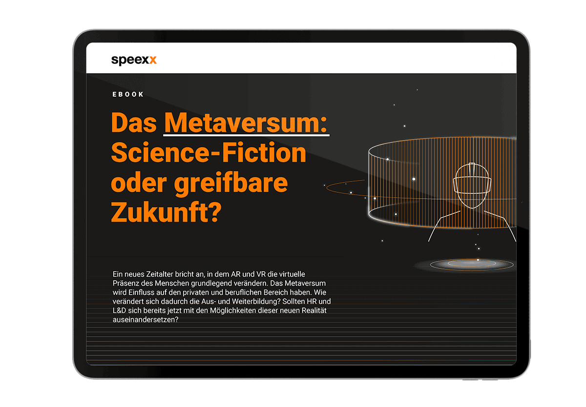 Das Metaversum eBook