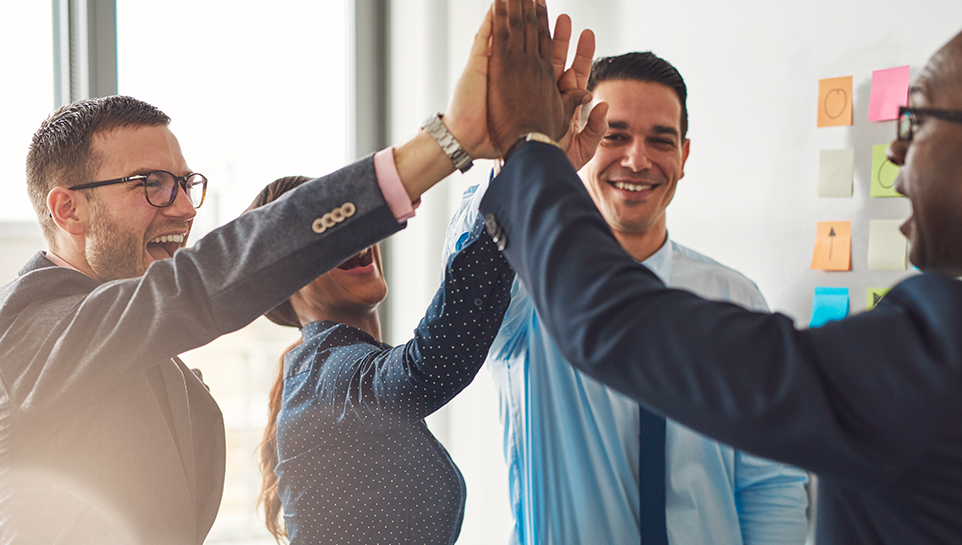 employee, experience, hr