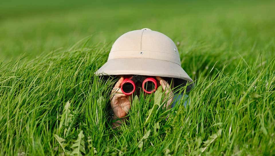 uomo che guarda al binocolo in un campo di erba