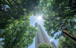 Nachhaltigkeit lernen und nachhaltiges Lernen featured image