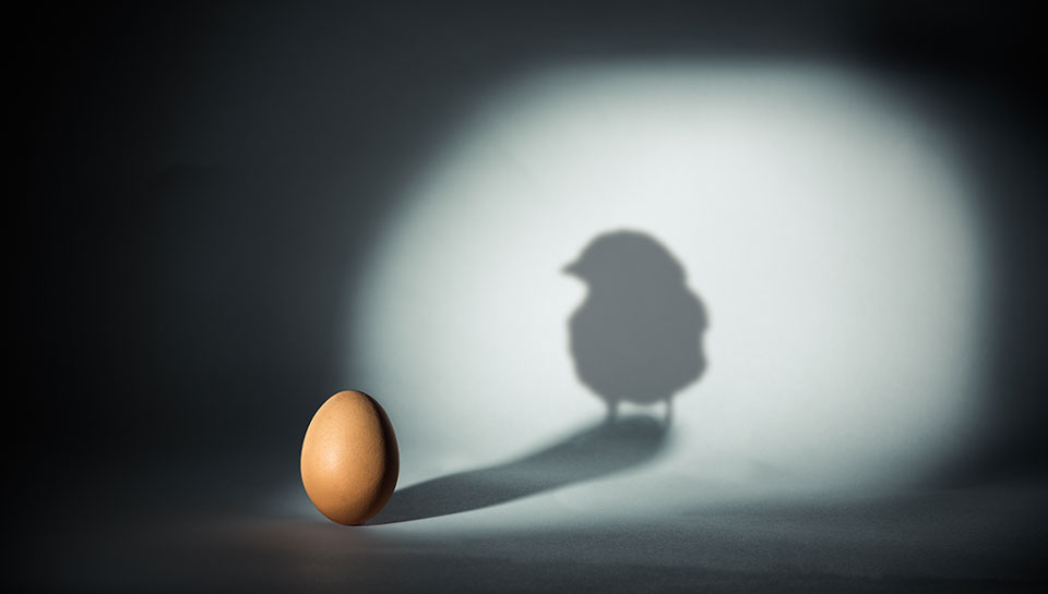 un uovo che riflette la luce di un pulcino