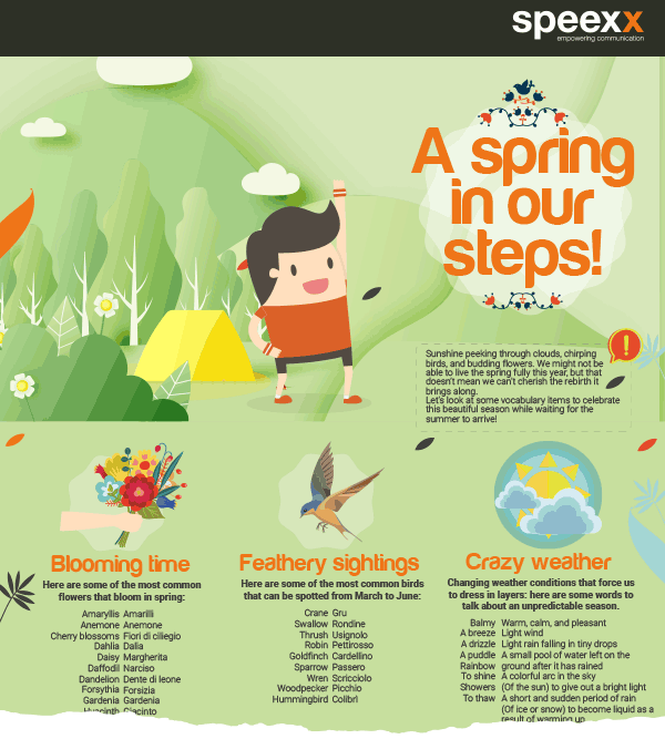 strappo-per-preview-spring-in-our-steps