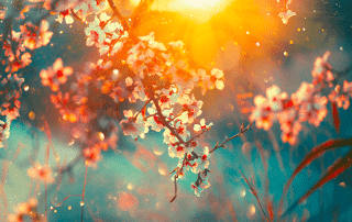 english, inglese, primavera, spring